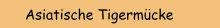Asiatische Tigermücke