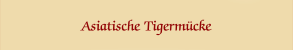 Asiatische Tigermücke